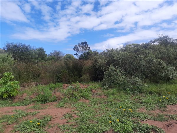 700 m² Land available in Groenvallei