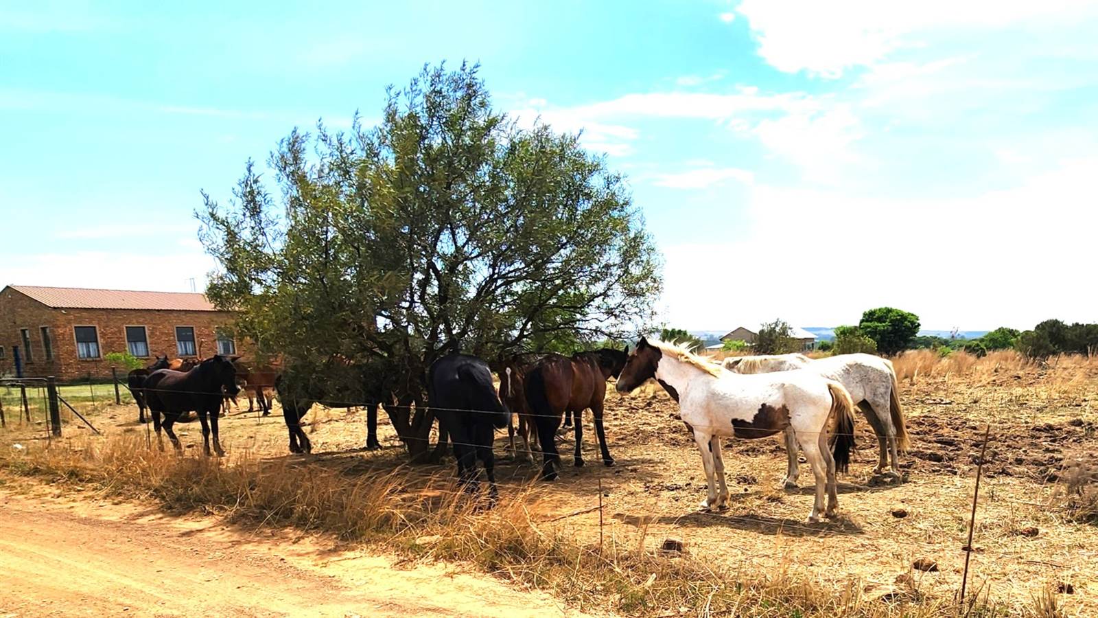 1 ha Farm in Kleinfontein photo number 7