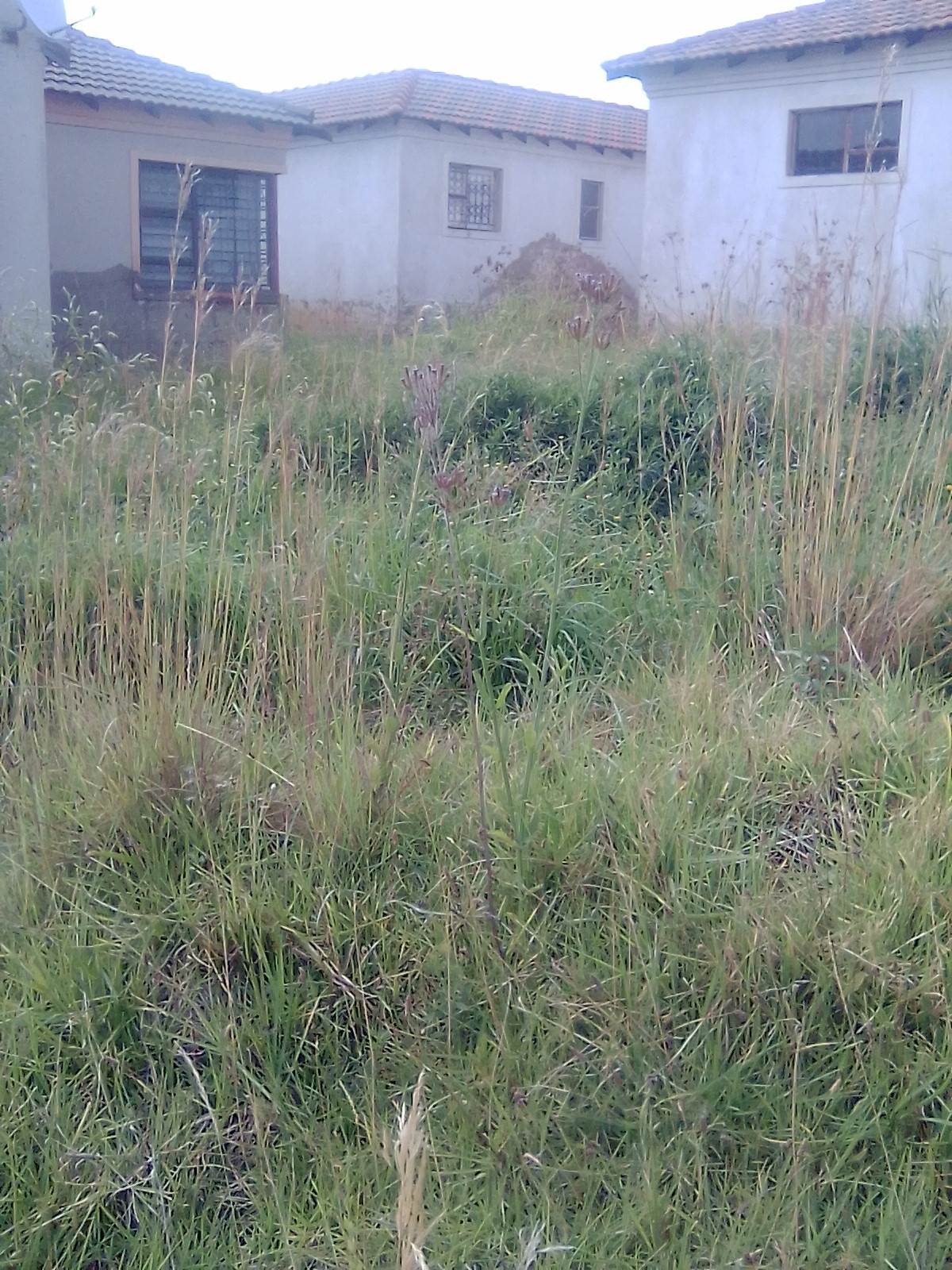 65 m² Land available in Mohlakeng photo number 3