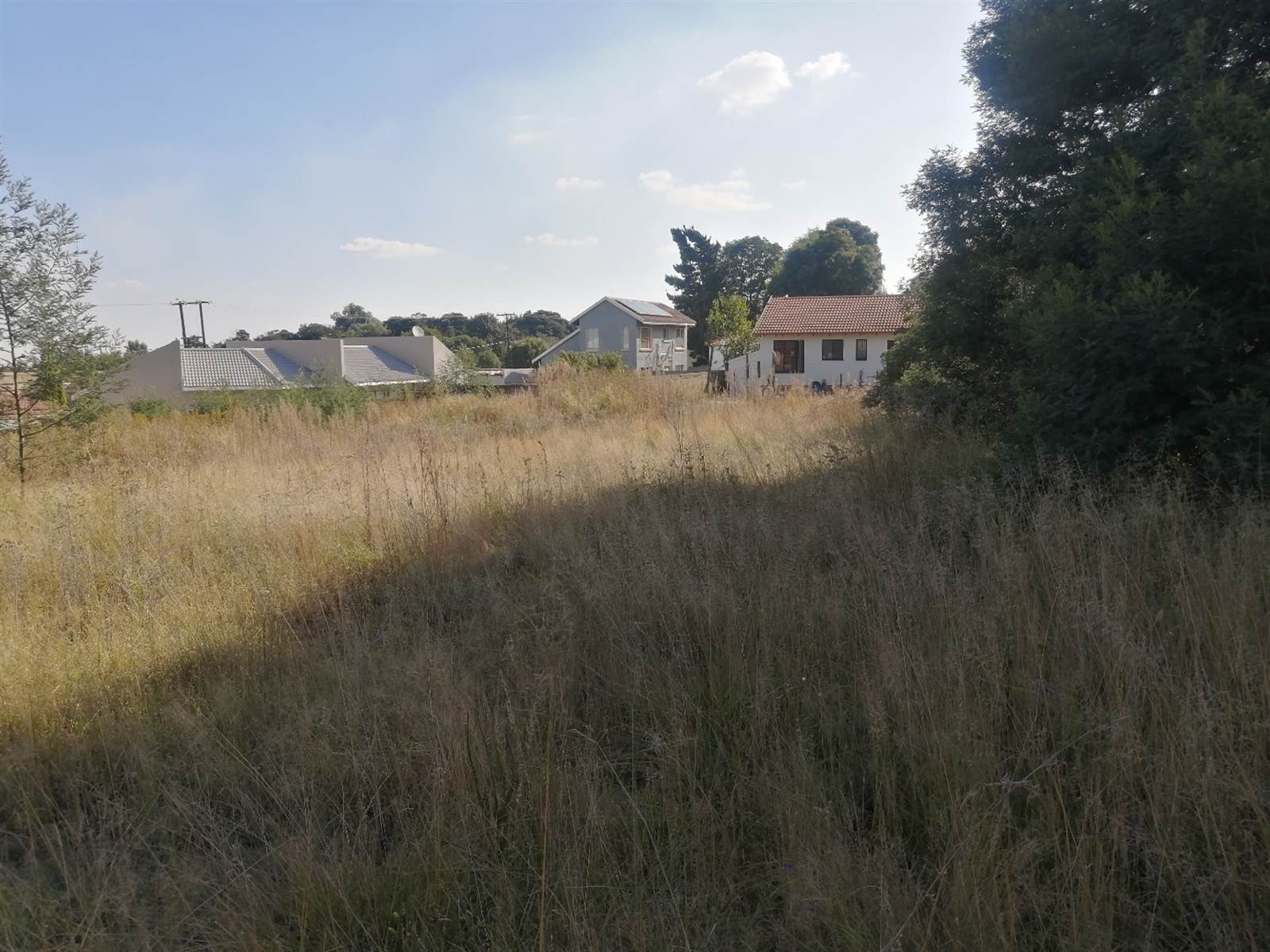 303 m² Land available in Ohenimuri photo number 5