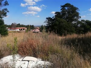 303 m² Land available in Ohenimuri