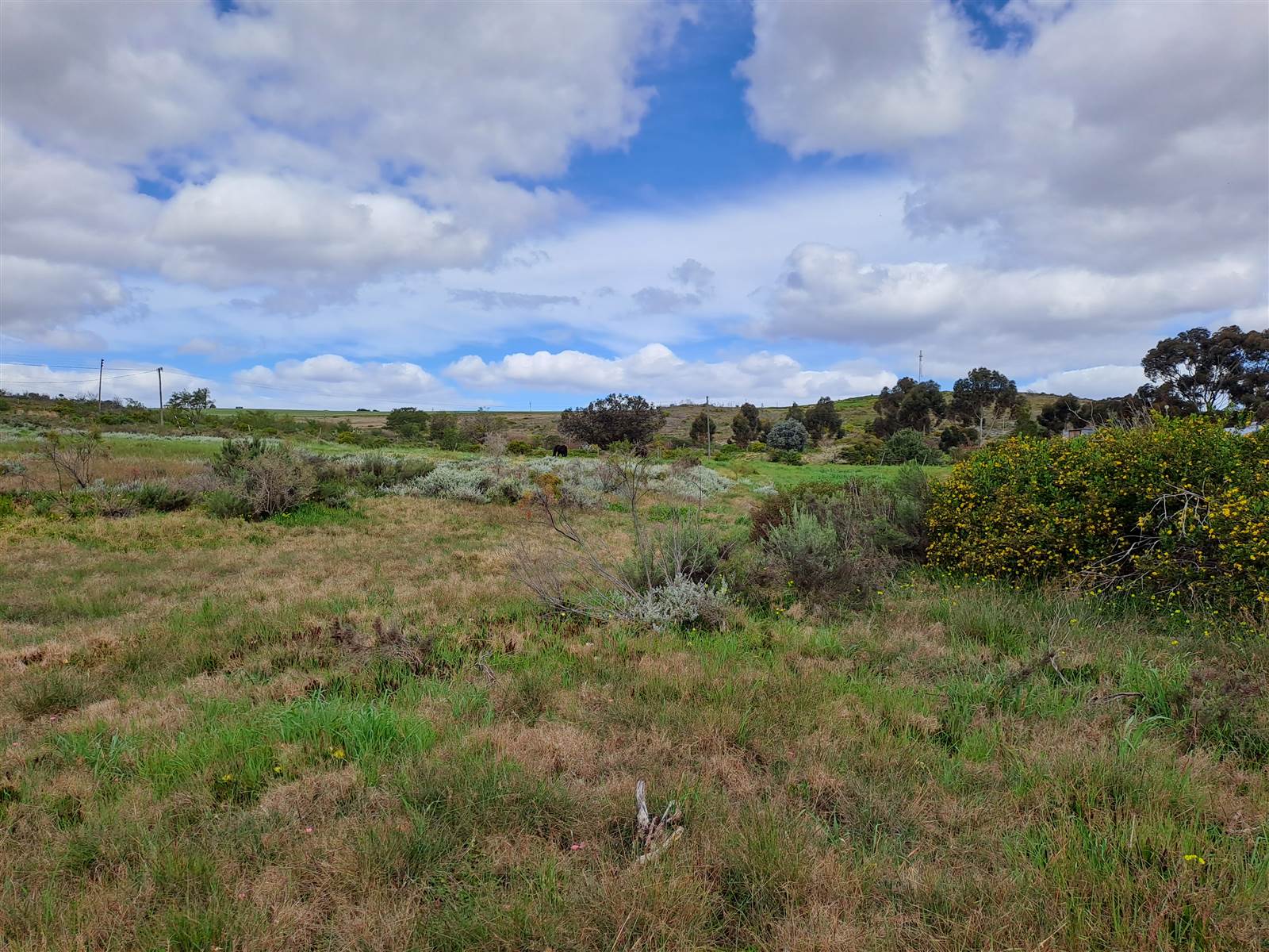 1 ha Land available in Napier photo number 15