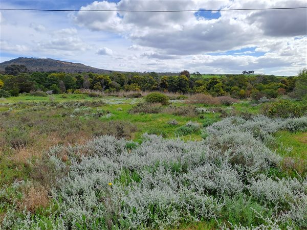 1 ha Land available in Napier