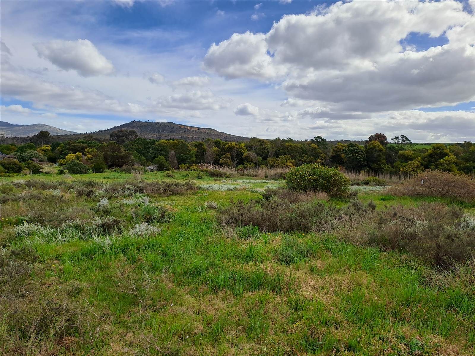 1 ha Land available in Napier photo number 5