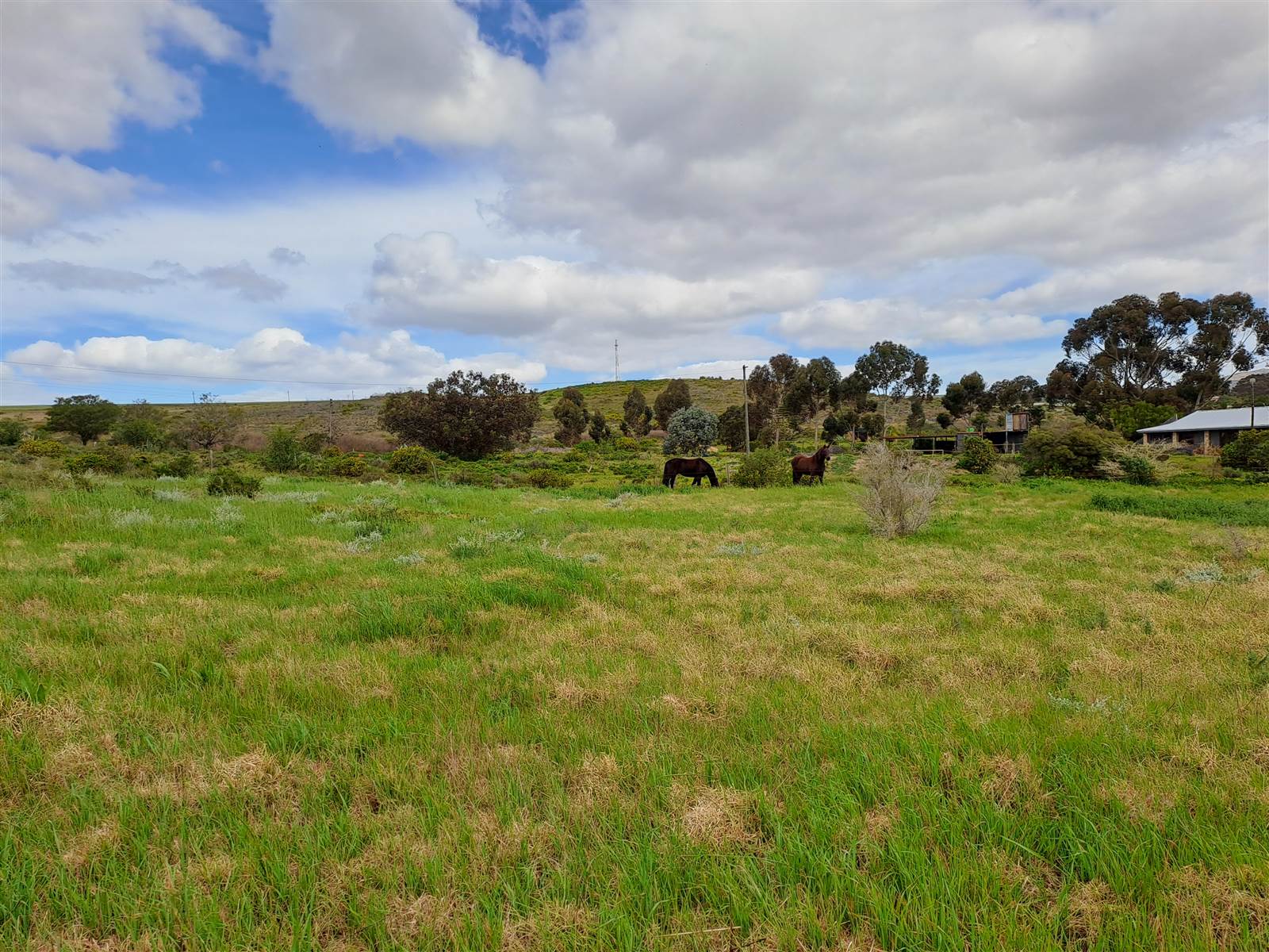 1 ha Land available in Napier photo number 8