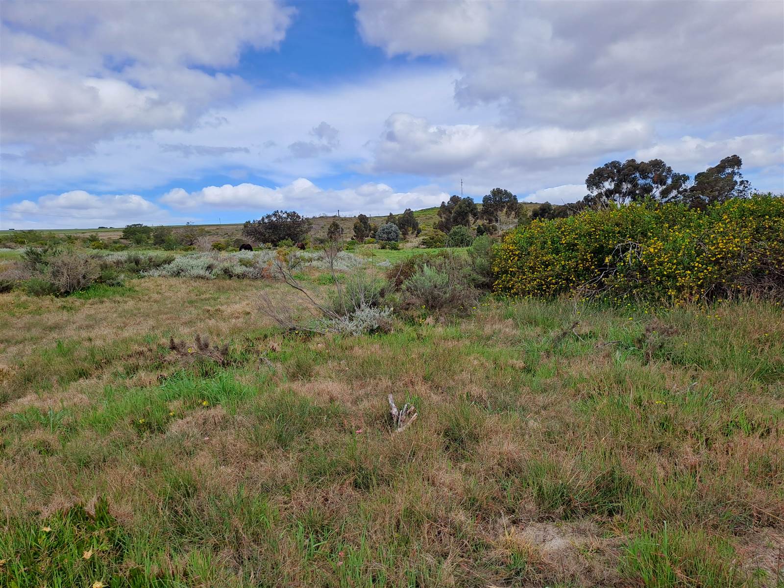 1 ha Land available in Napier photo number 14