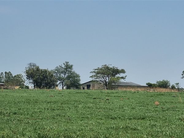 24 ha Farm