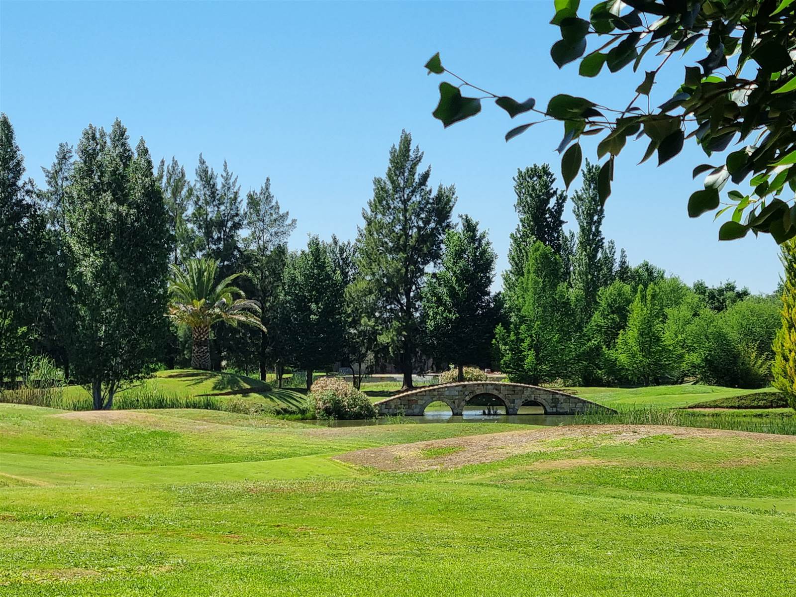 997 m² Land available in Magersfontein Memorial Golf Estate photo number 5