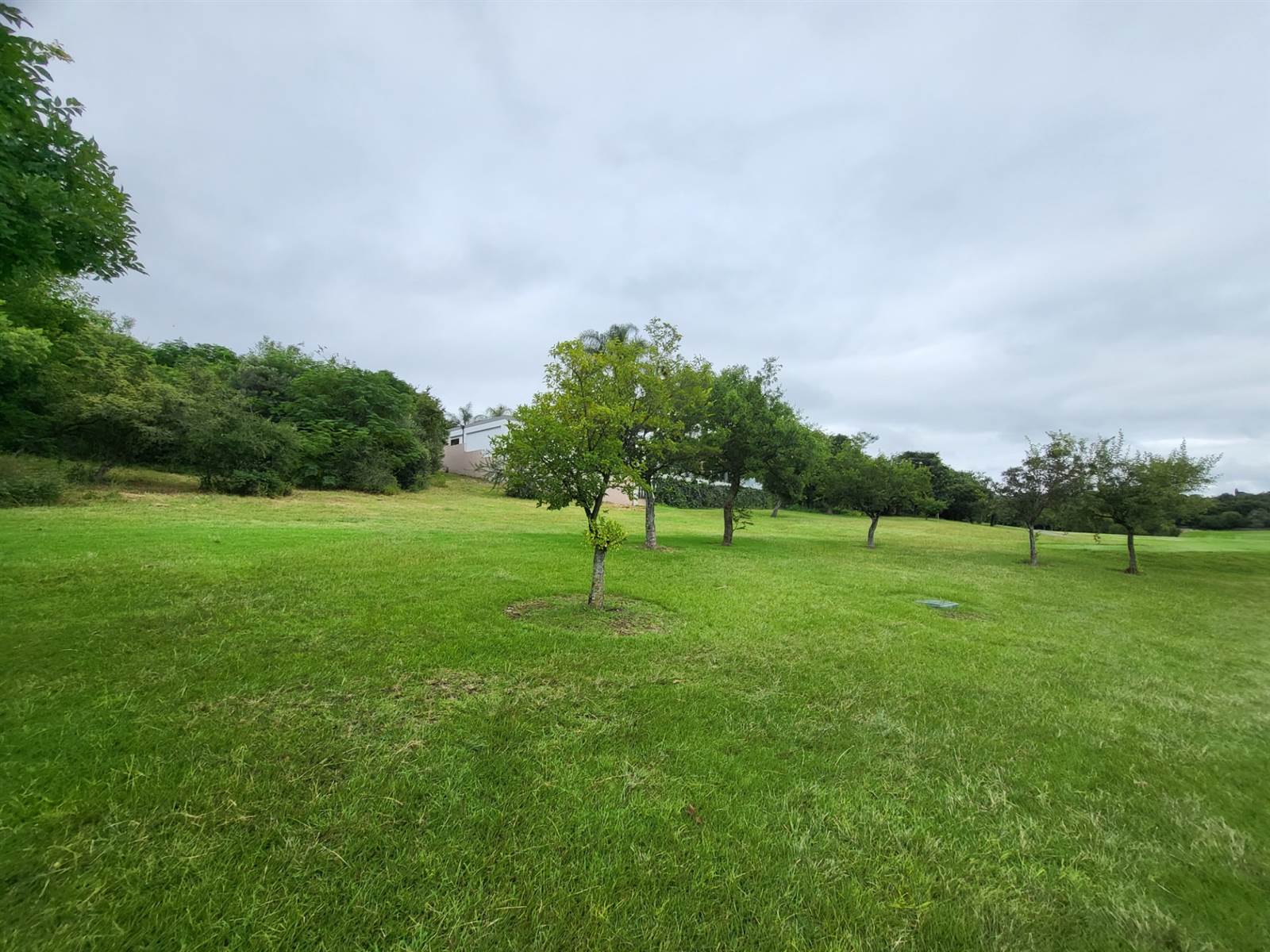 973 m² Land available in Dainfern Golf Estate photo number 3