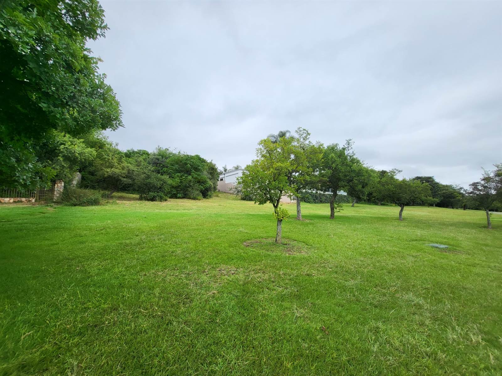 973 m² Land available in Dainfern Golf Estate photo number 19