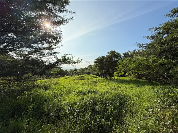 1 510 m² Land 1 510 m² Land
