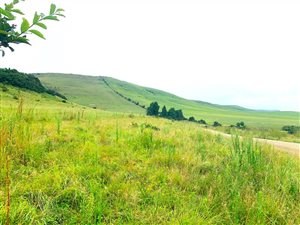 454 ha Farm in Estcourt