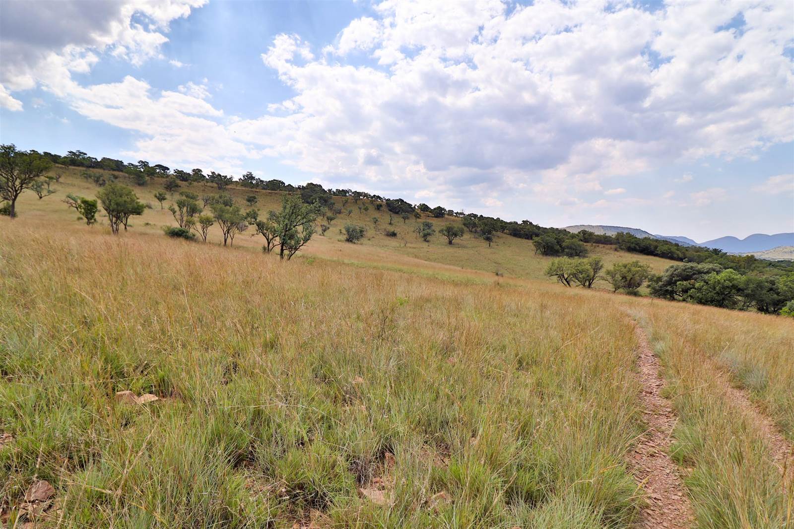 9.1 ha Land available in Broederstroom photo number 14