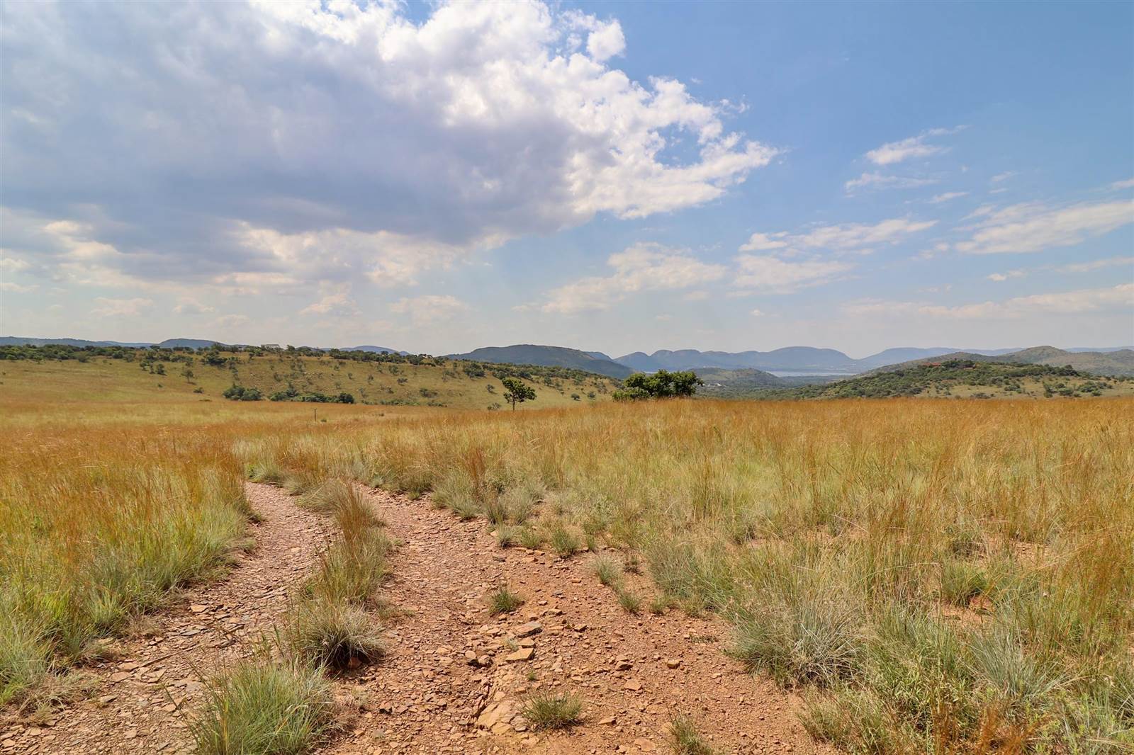 9.1 ha Land available in Broederstroom photo number 6