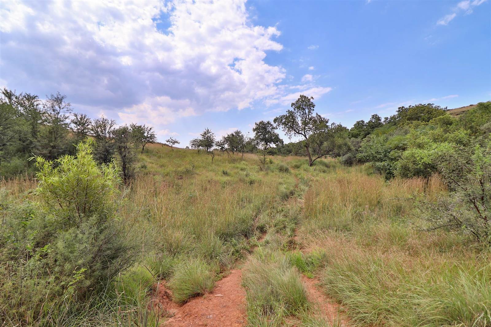 9.1 ha Land available in Broederstroom photo number 13