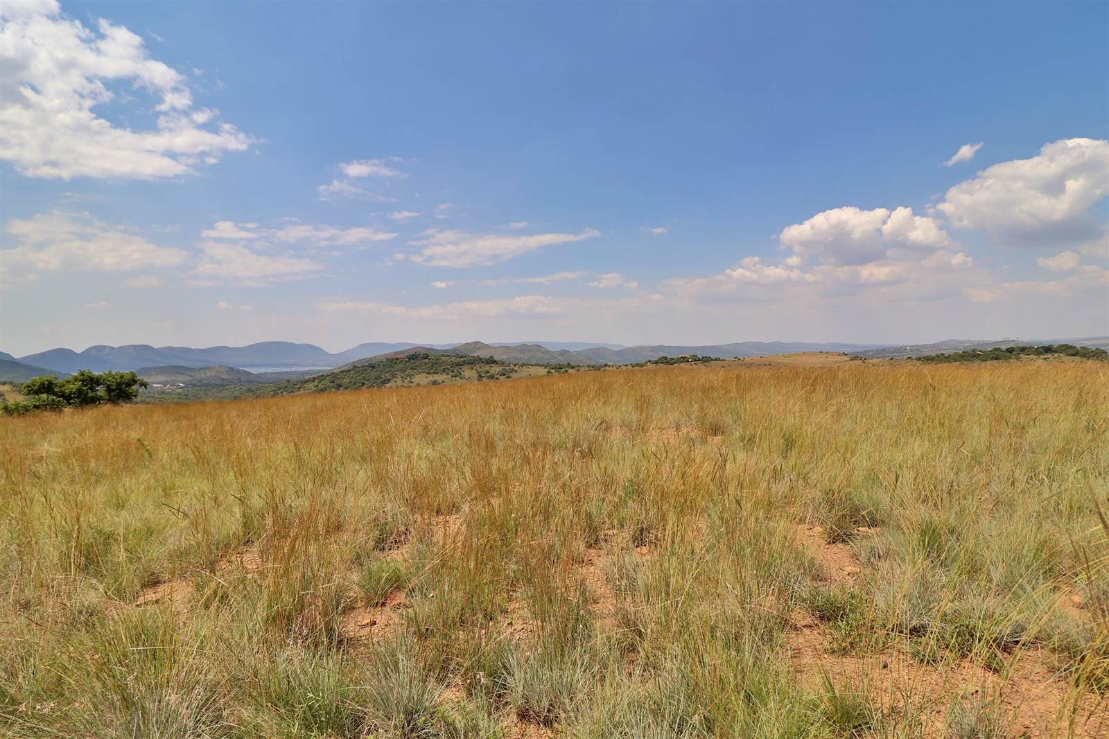 9.1 ha Land available in Broederstroom photo number 9