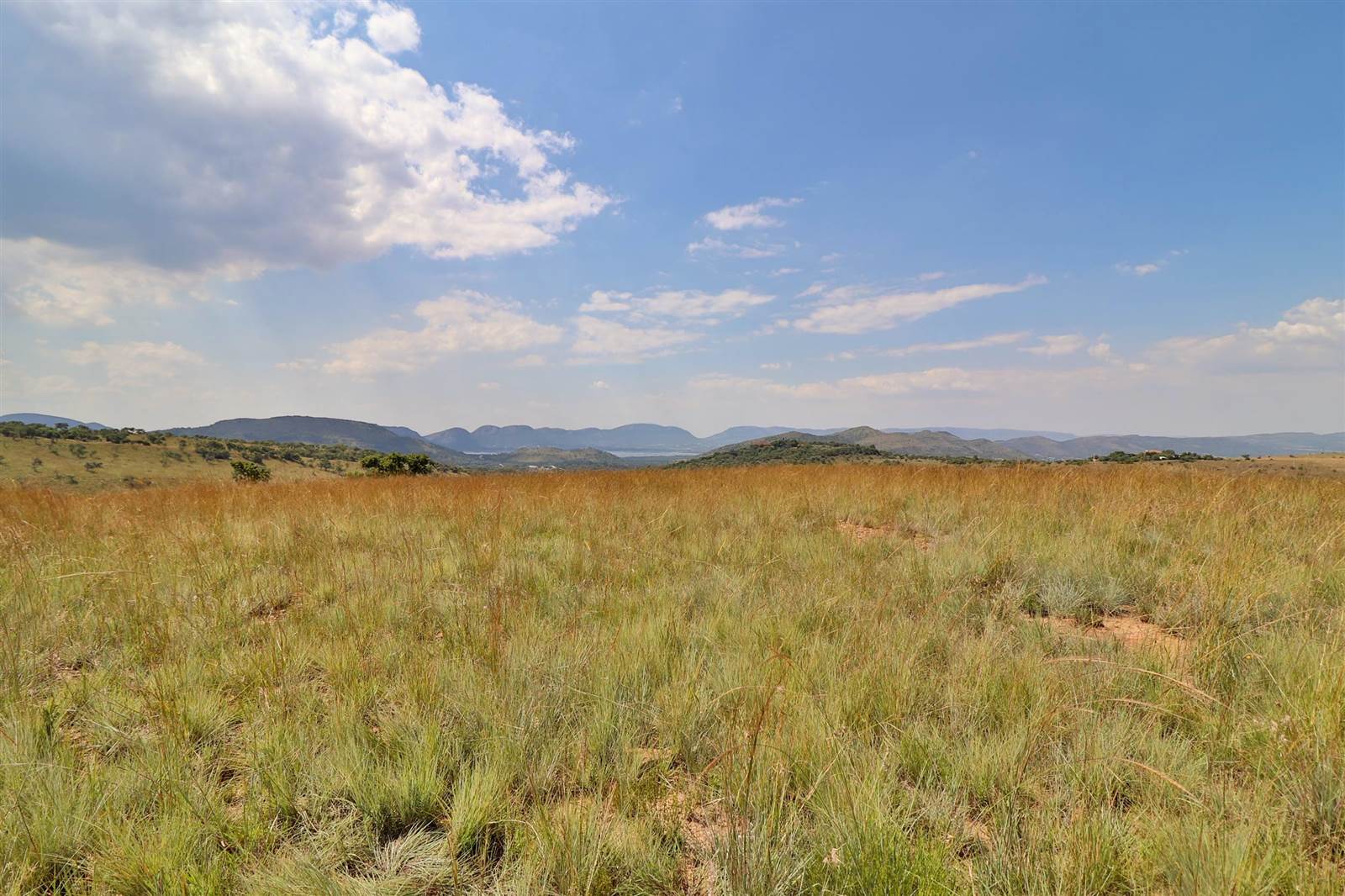 9.1 ha Land available in Broederstroom photo number 8