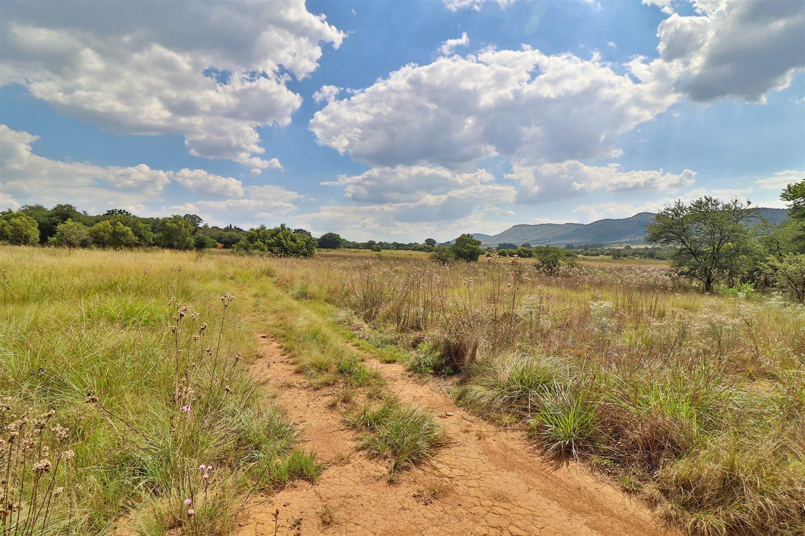 9.1 ha Land available in Broederstroom photo number 18