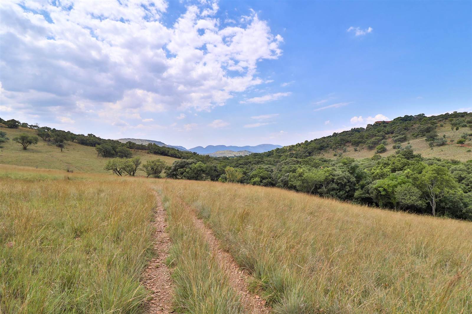 9.1 ha Land available in Broederstroom photo number 15