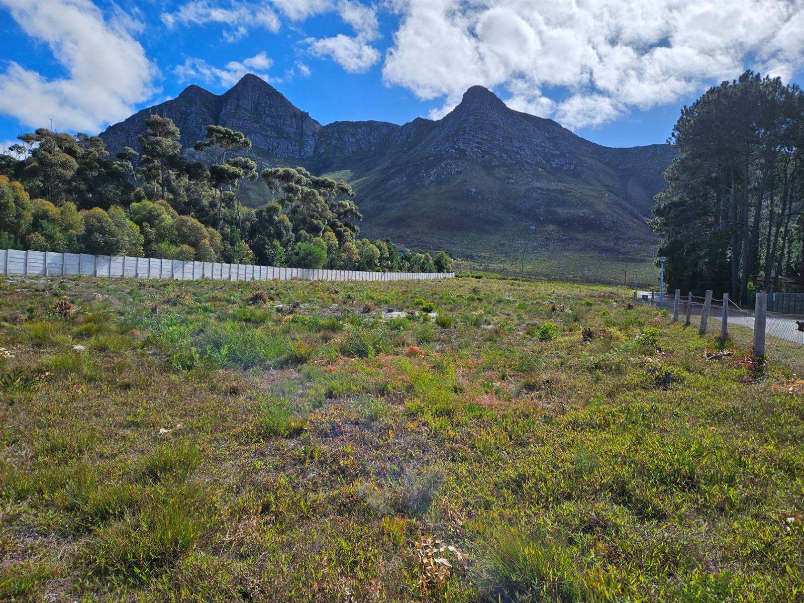 4453 m² Land available in Kleinmond photo number 9