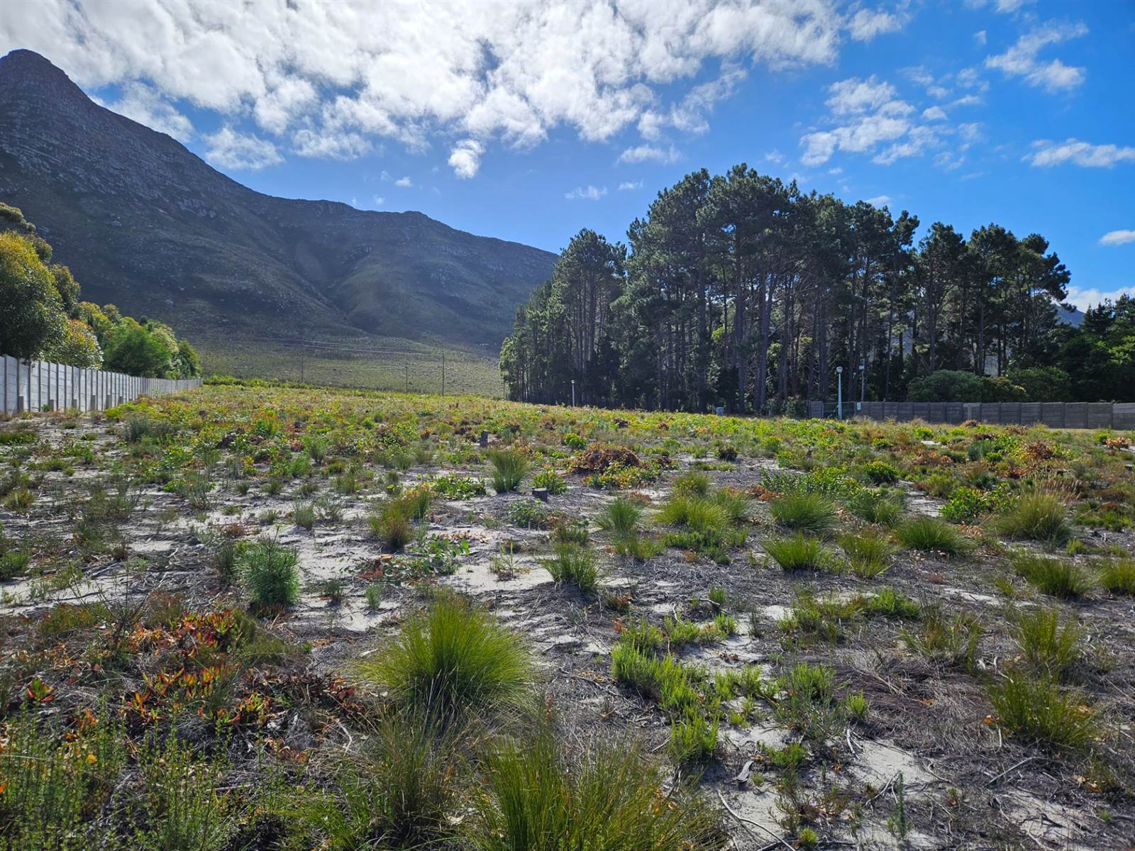 4453 m² Land available in Kleinmond photo number 11