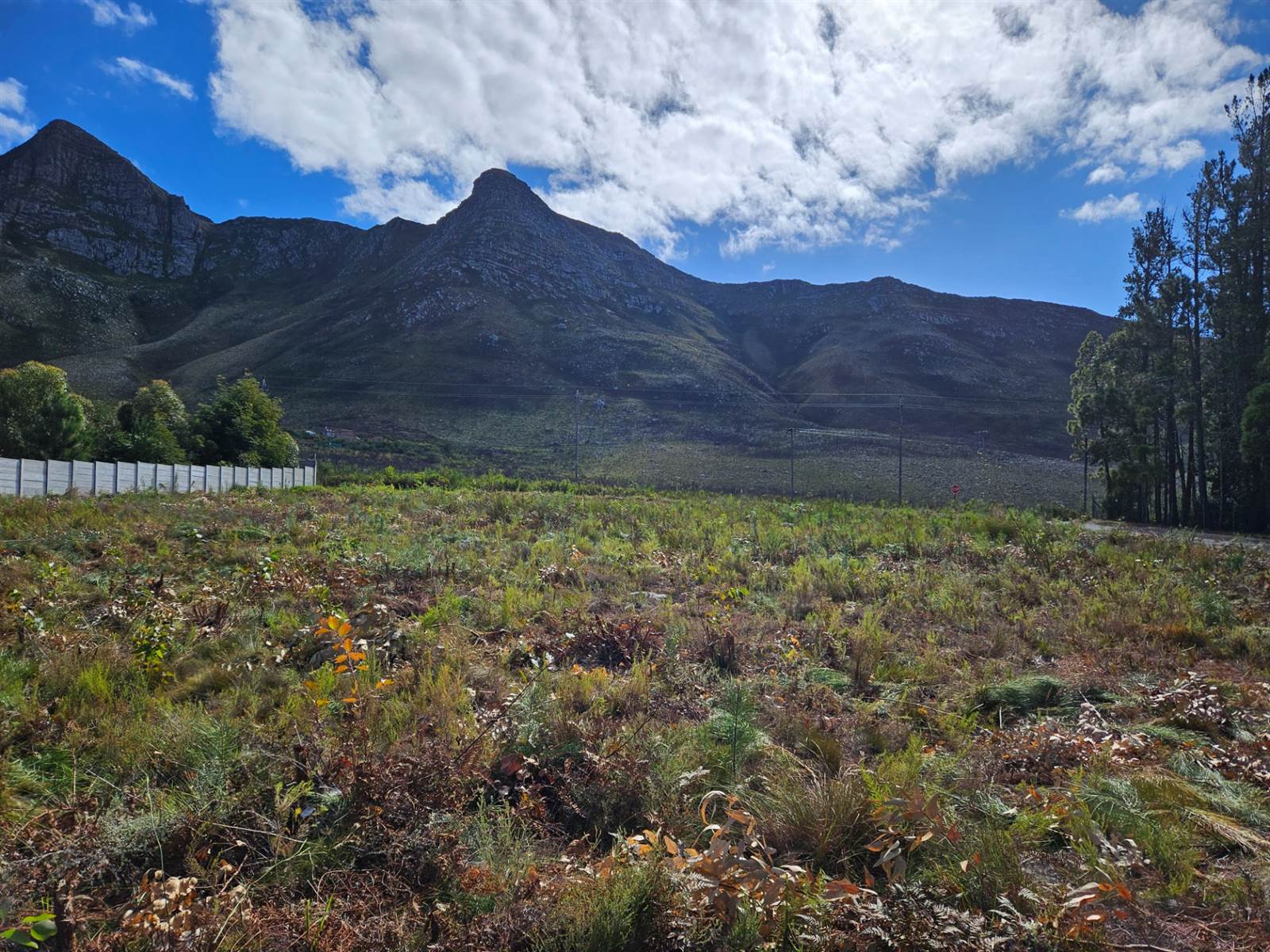 4453 m² Land available in Kleinmond photo number 6