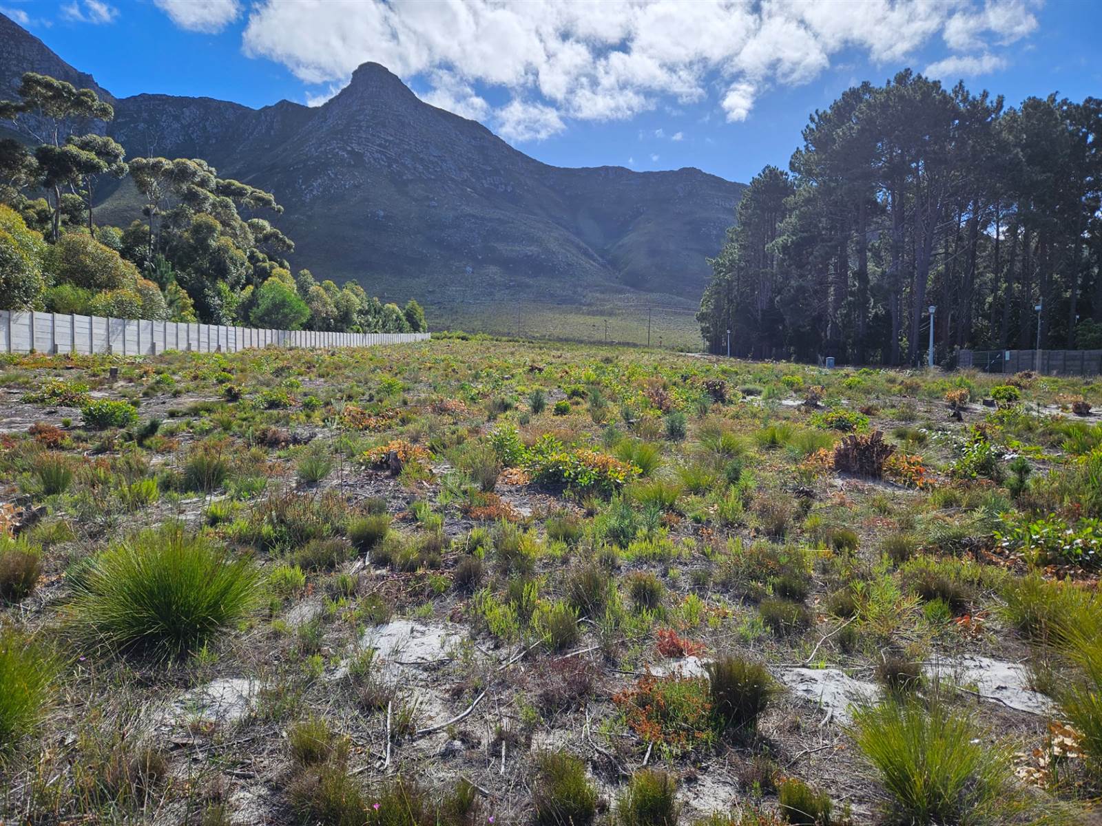 4453 m² Land available in Kleinmond photo number 10