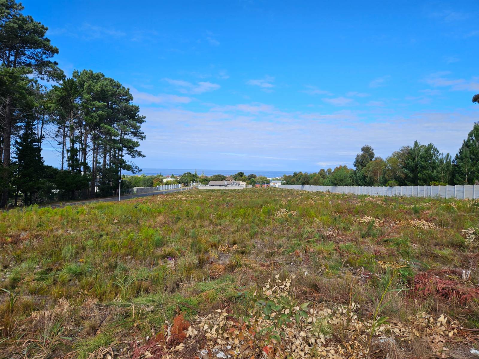 4453 m² Land available in Kleinmond photo number 1