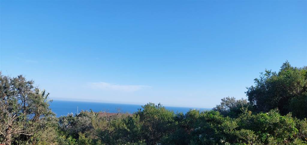 1353 m² Land available in Blue Horizon Bay photo number 10