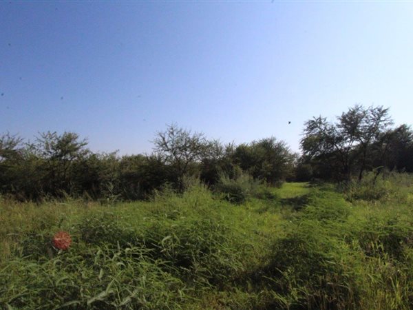 7052 m² Land available in Modimolle