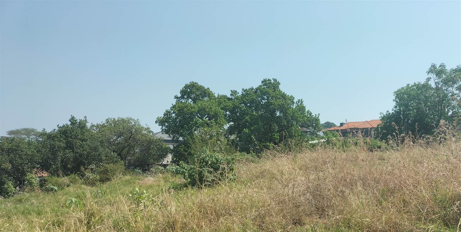 1090 m² Land available in Tzaneen photo number 7