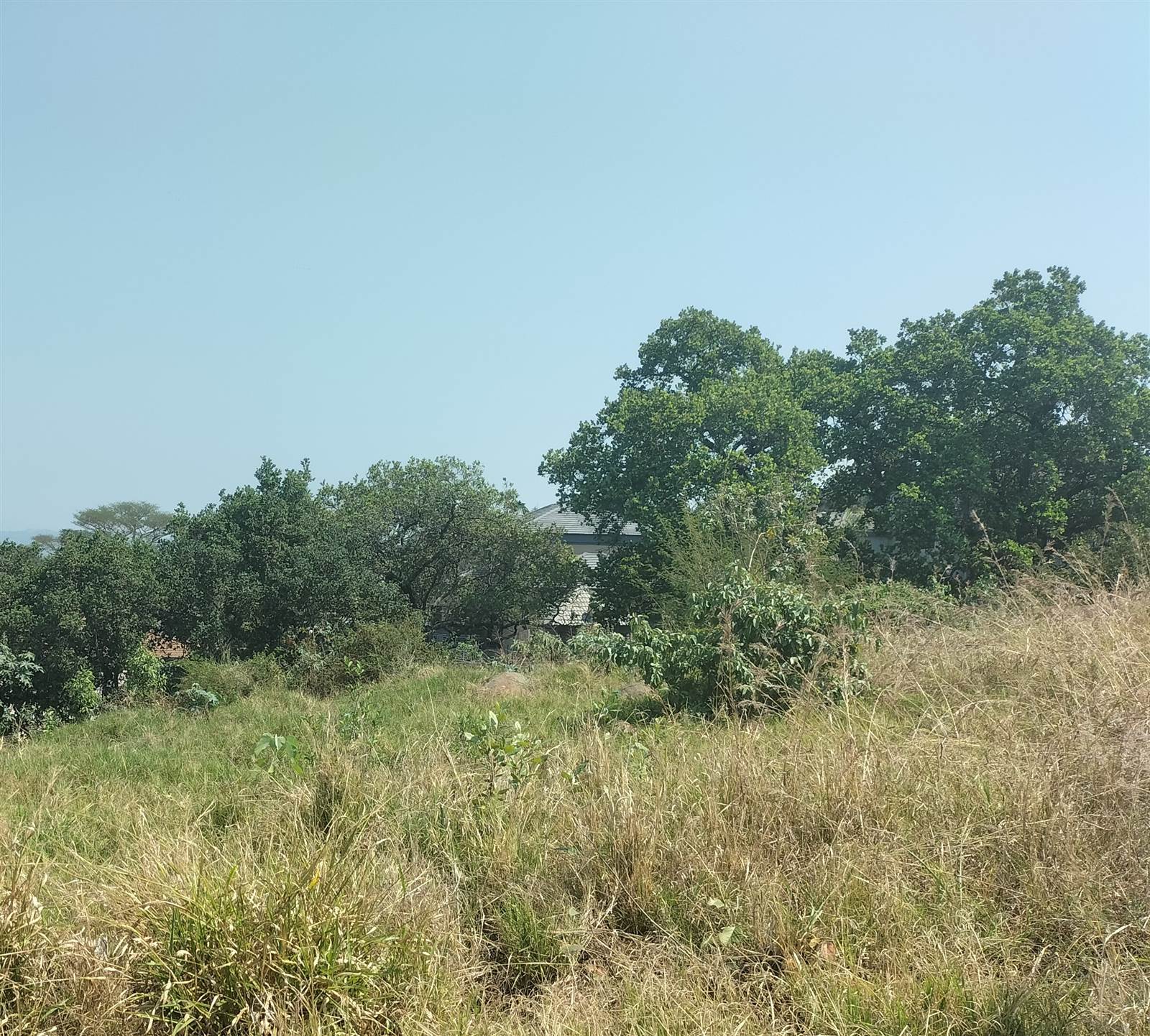 1090 m² Land available in Tzaneen photo number 8