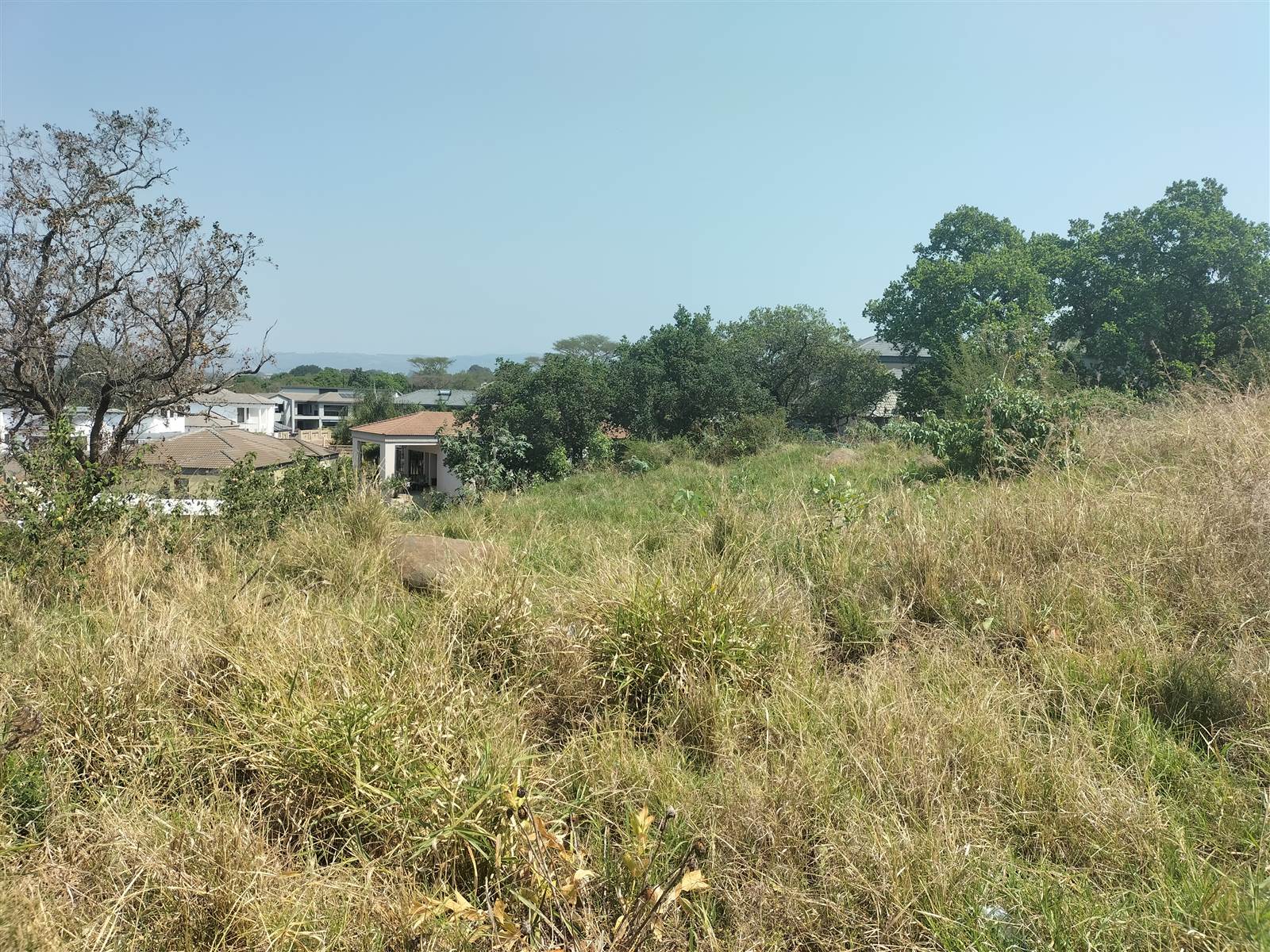 1090 m² Land available in Tzaneen photo number 4