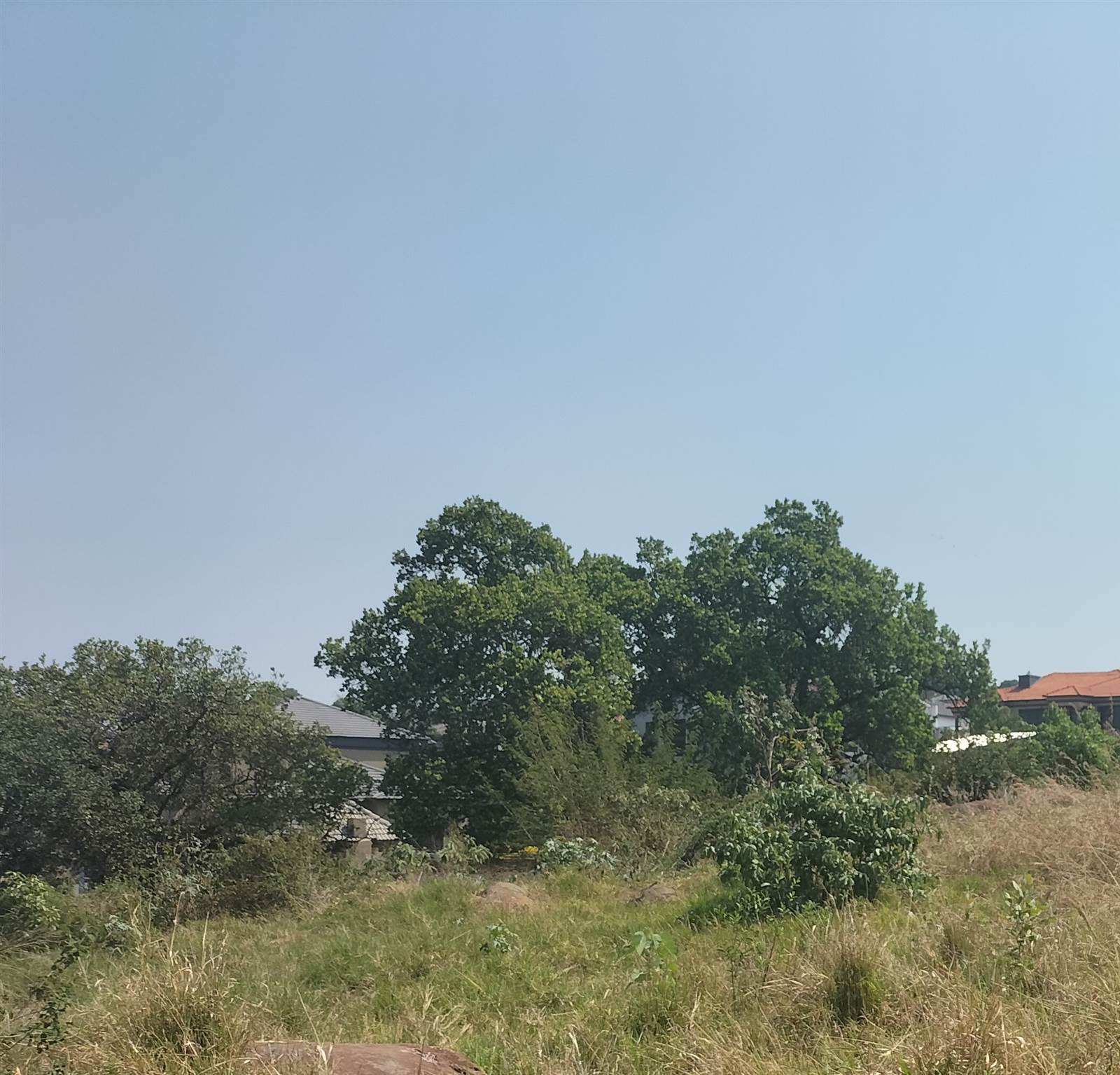 1090 m² Land available in Tzaneen photo number 6