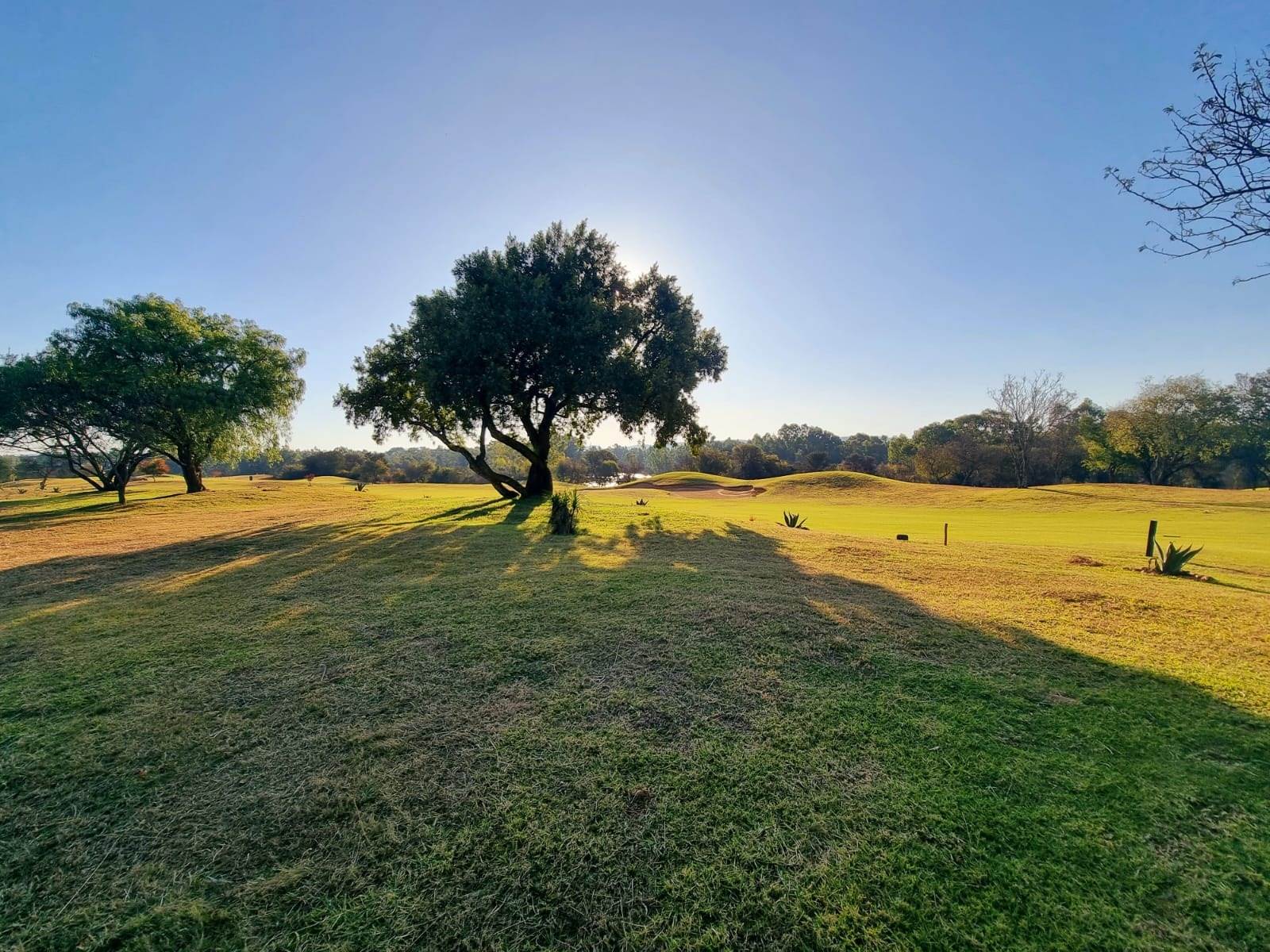 717 m² Land available in Parys Golf Estate photo number 5