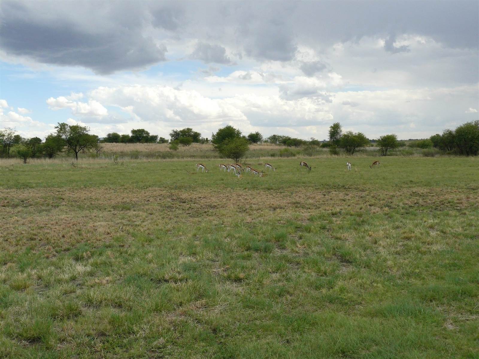 790 m² Land available in Parys Golf Estate photo number 1