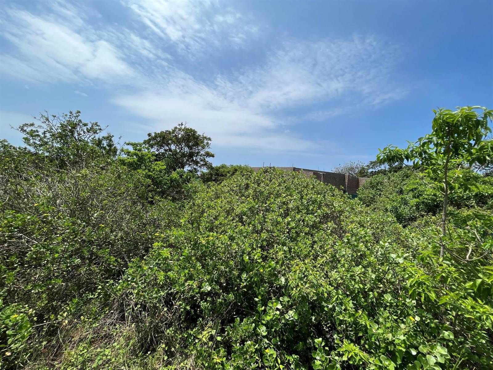 903 m² Land available in Elaleni Coastal Forest Estate photo number 5