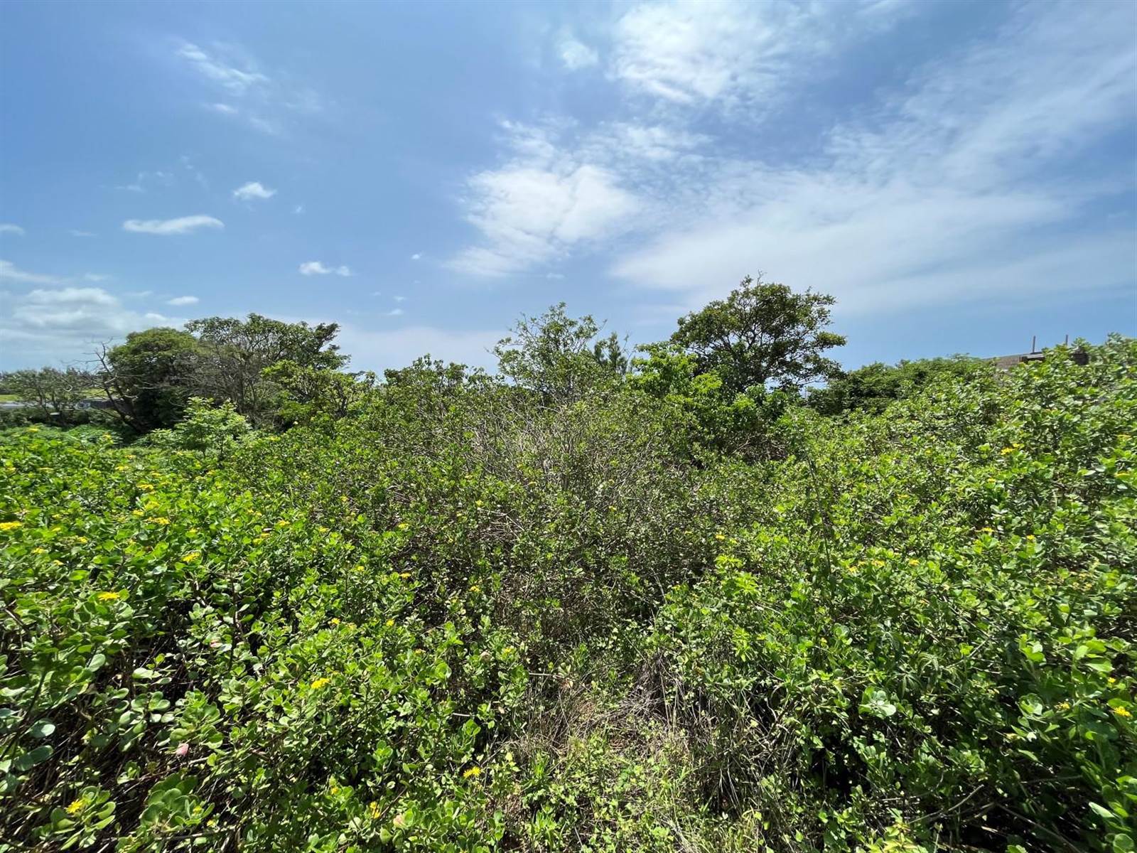 903 m² Land available in Elaleni Coastal Forest Estate photo number 15