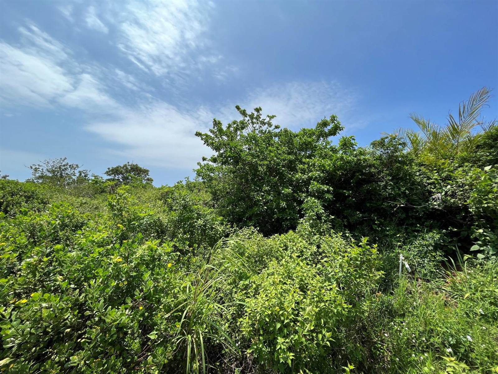 903 m² Land available in Elaleni Coastal Forest Estate photo number 6