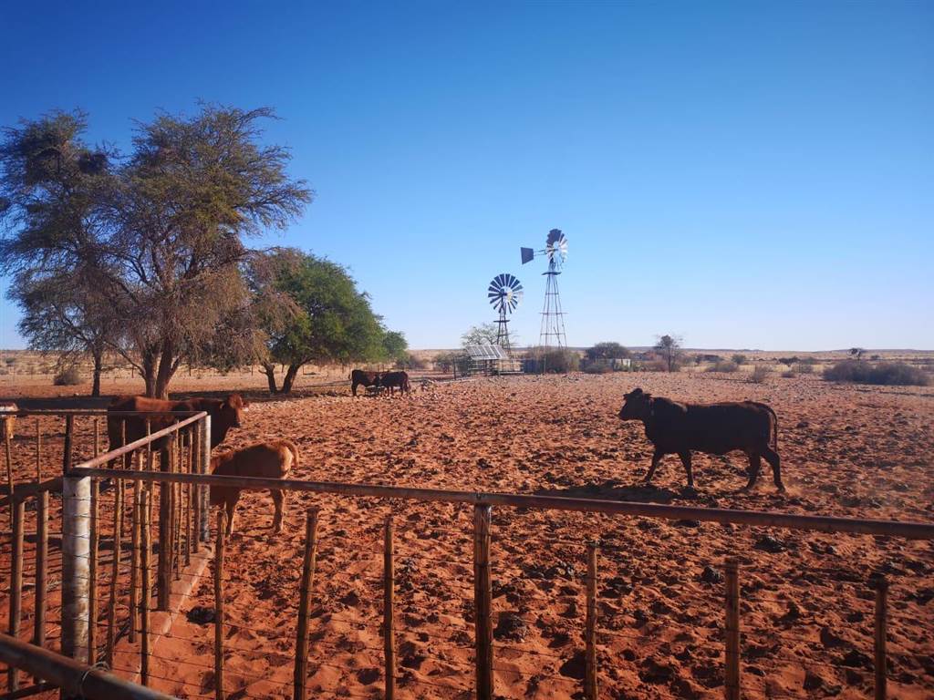 6939 m² Farm in Upington photo number 21