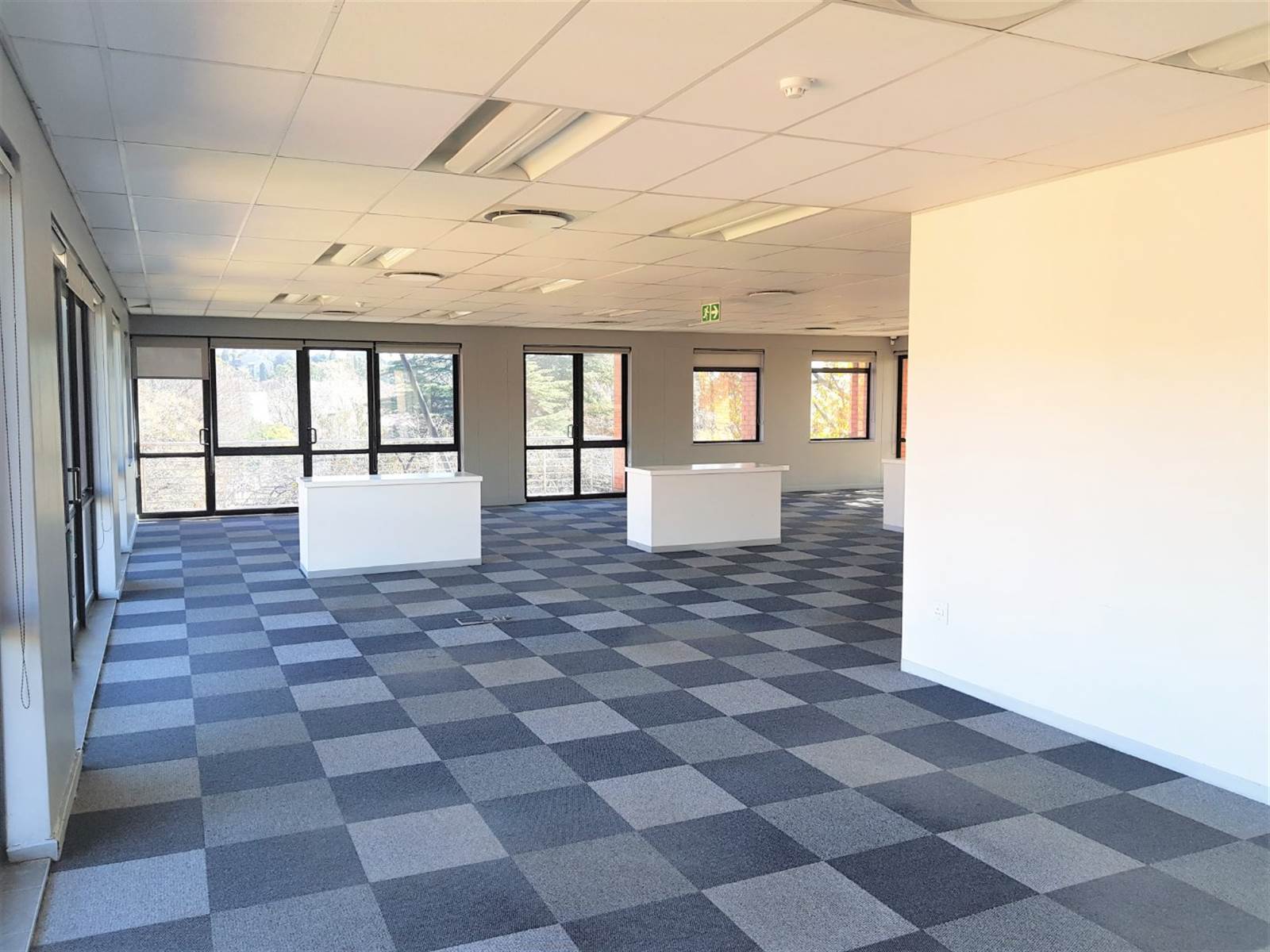 597  m² Office Space in Strathavon photo number 4