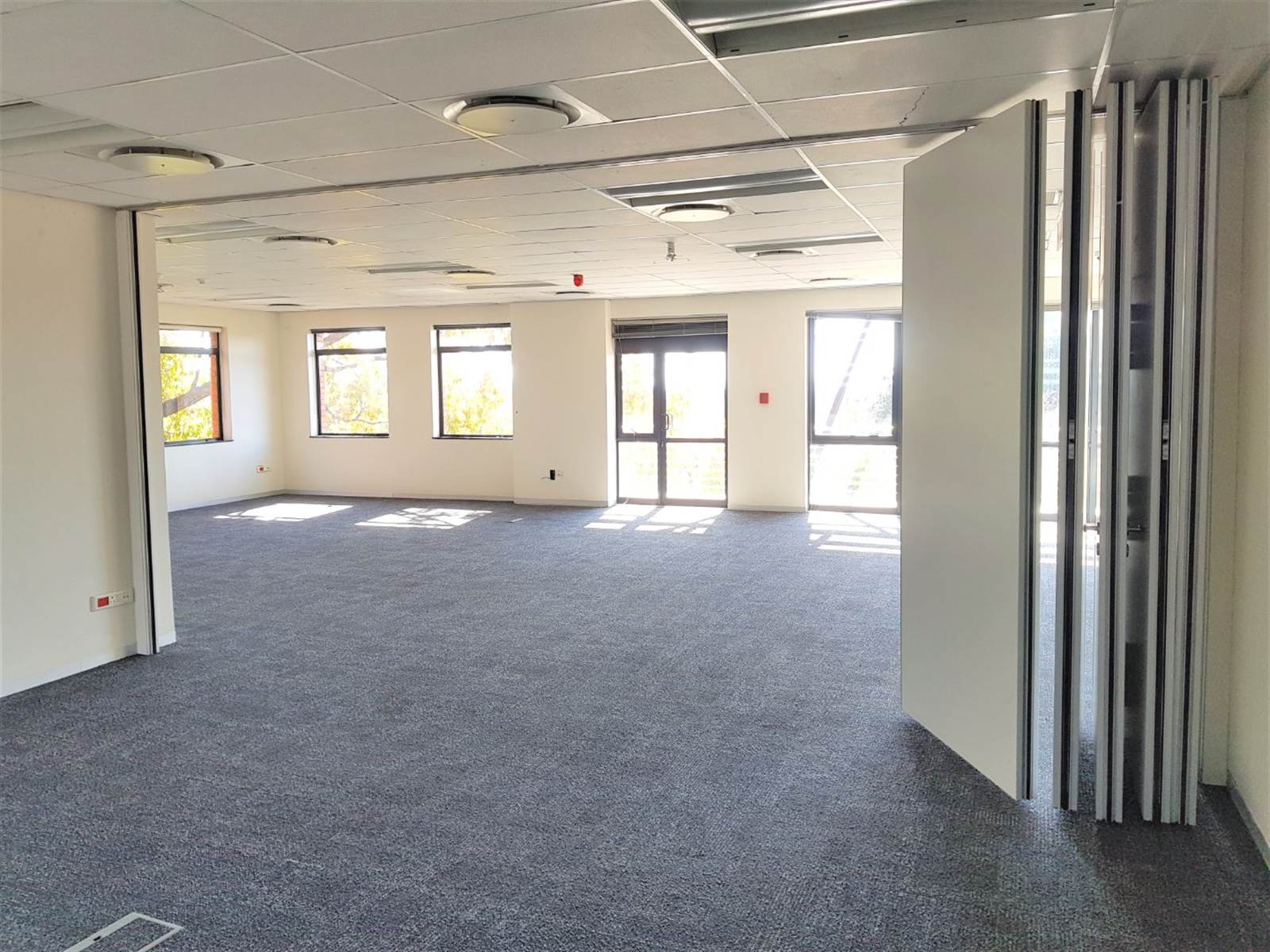 597  m² Office Space in Strathavon photo number 13