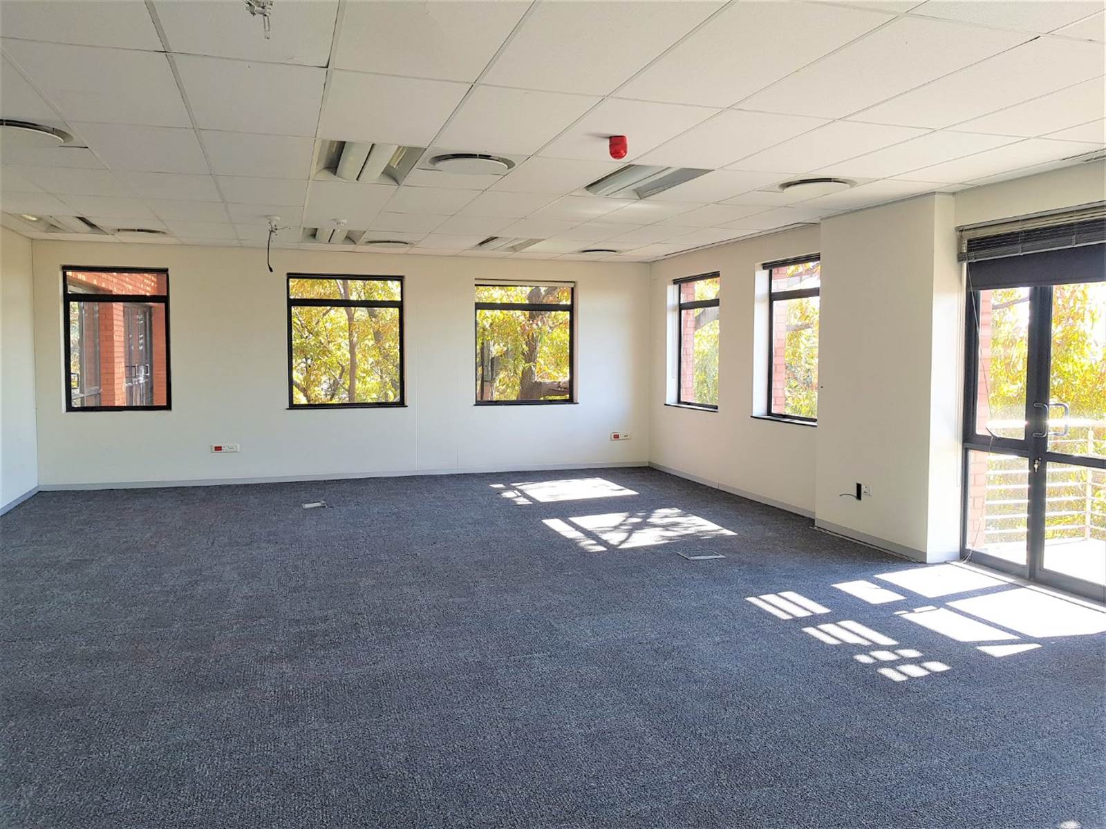597  m² Office Space in Strathavon photo number 15