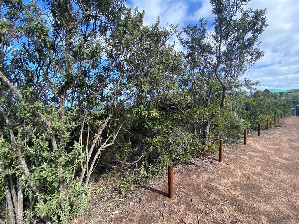 936 m² Land available in Herolds Bay photo number 6