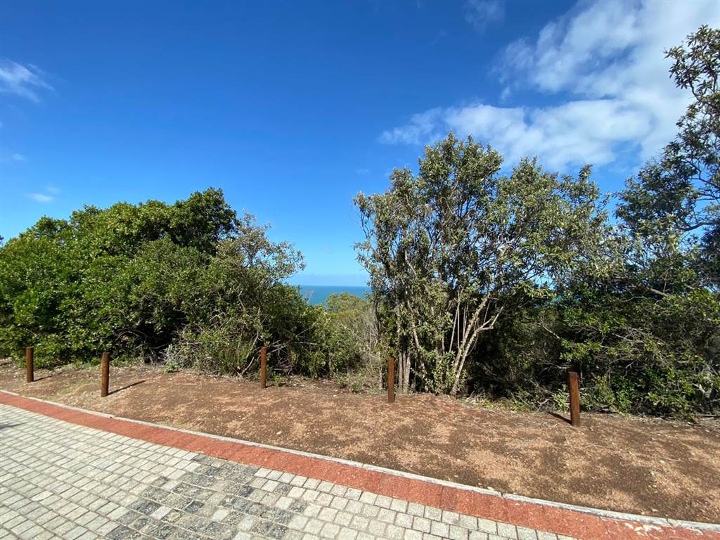 936 m² Land available in Herolds Bay photo number 4