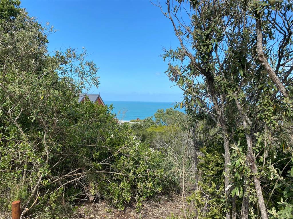 936 m² Land available in Herolds Bay photo number 3