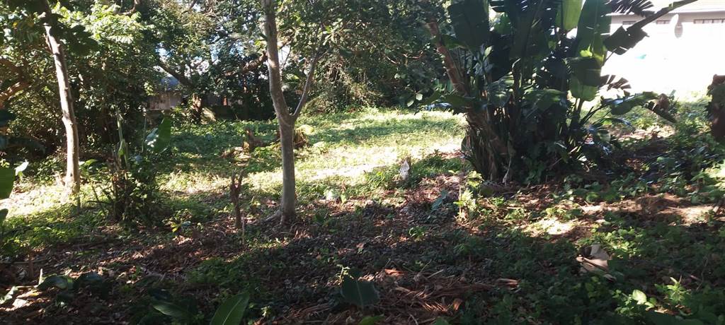1161 m² Land available in Woodgrange photo number 7