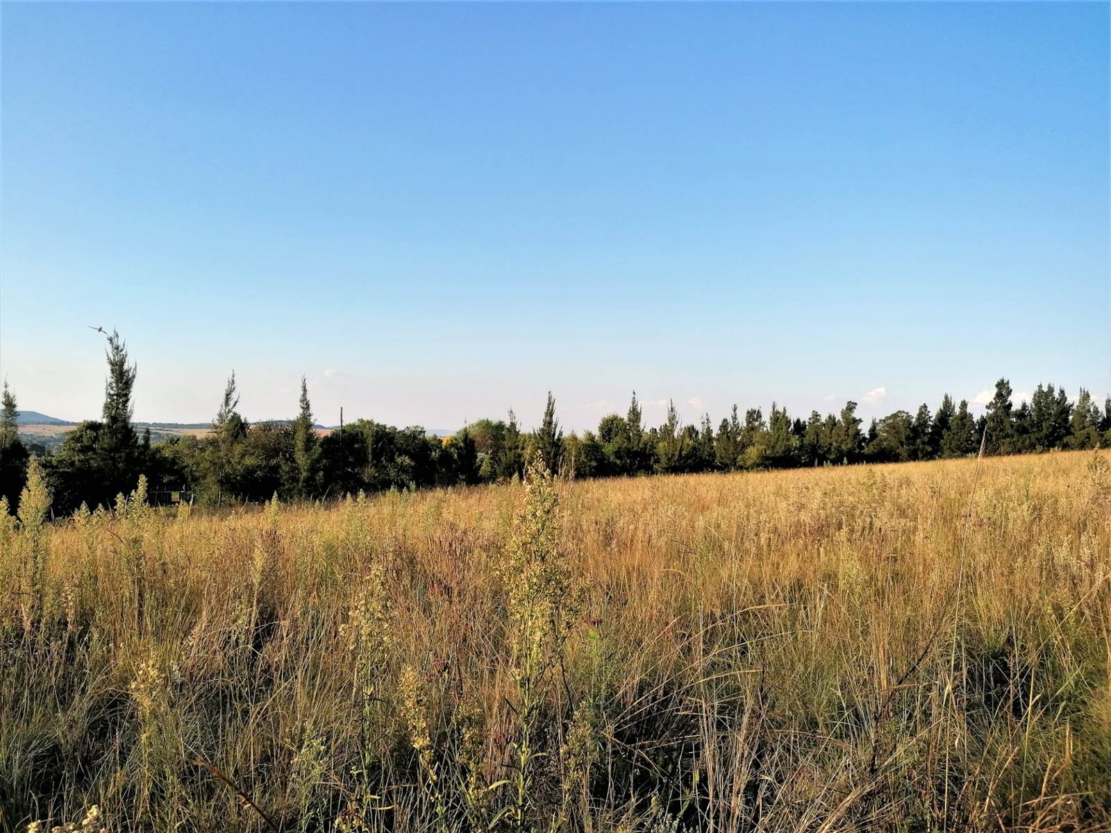 1 ha Land available in Blue Saddle Ranches photo number 5
