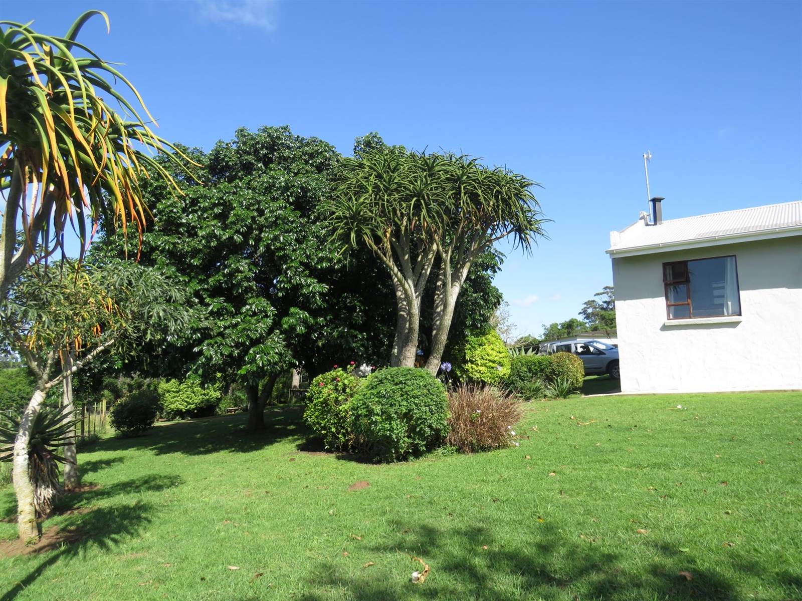 3 Bed House in Bathurst and Surrounds photo number 22