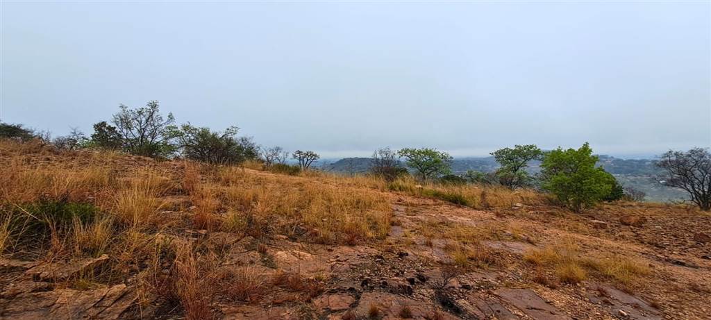 13.1 ha Land available in Safari Gardens photo number 10